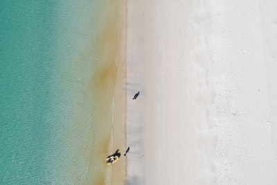 航空摄影的人骑船旁边的海滨
